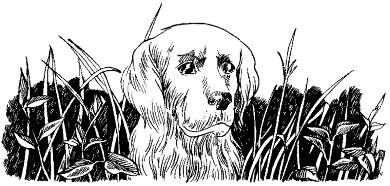 Иллюстрация к книге — Долгая ночь [i_014.jpg]