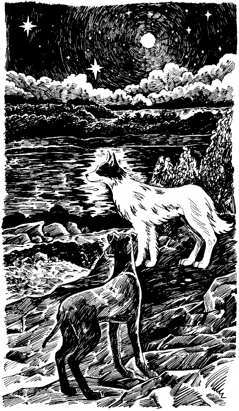 Иллюстрация к книге — Долгая ночь [i_016.jpg]