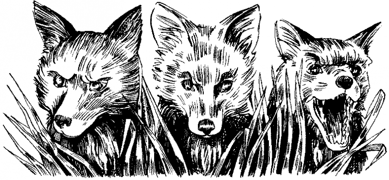 Иллюстрация к книге — Долгая ночь [i_018.jpg]