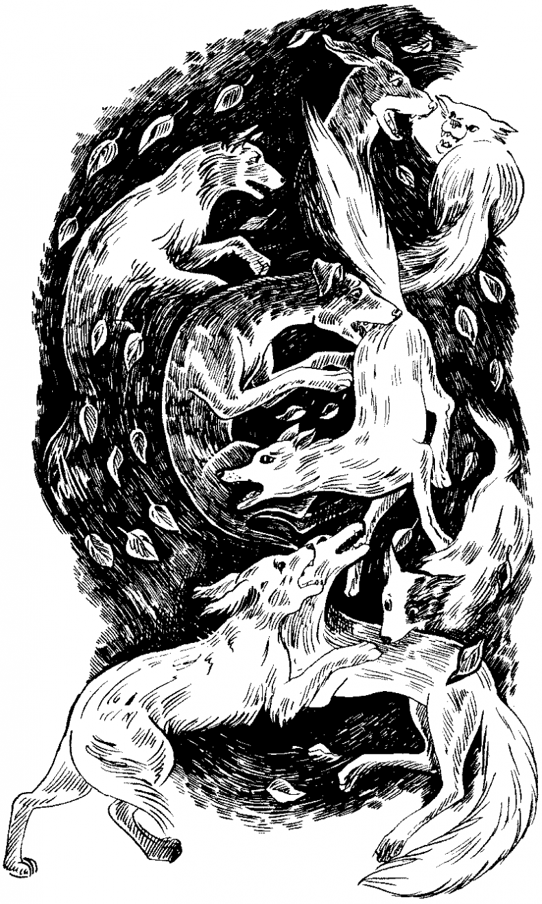 Иллюстрация к книге — Долгая ночь [i_019.jpg]