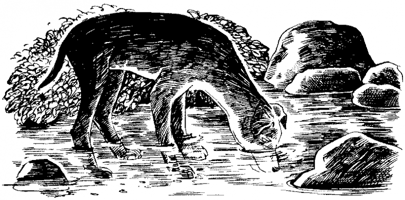 Иллюстрация к книге — Долгая ночь [i_020.jpg]