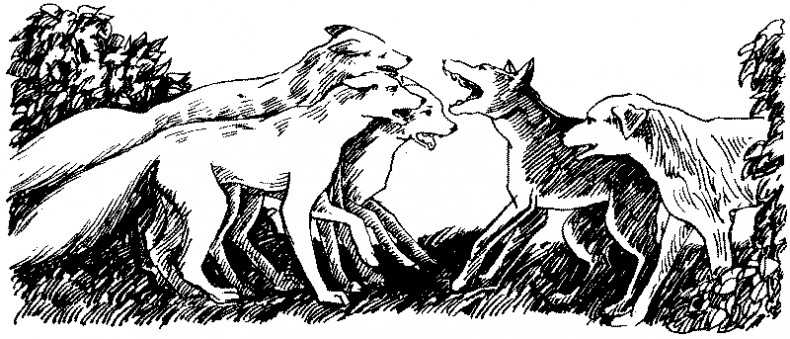 Иллюстрация к книге — Долгая ночь [i_027.jpg]