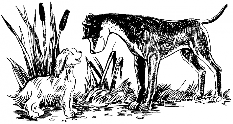 Иллюстрация к книге — Долгая ночь [i_028.jpg]