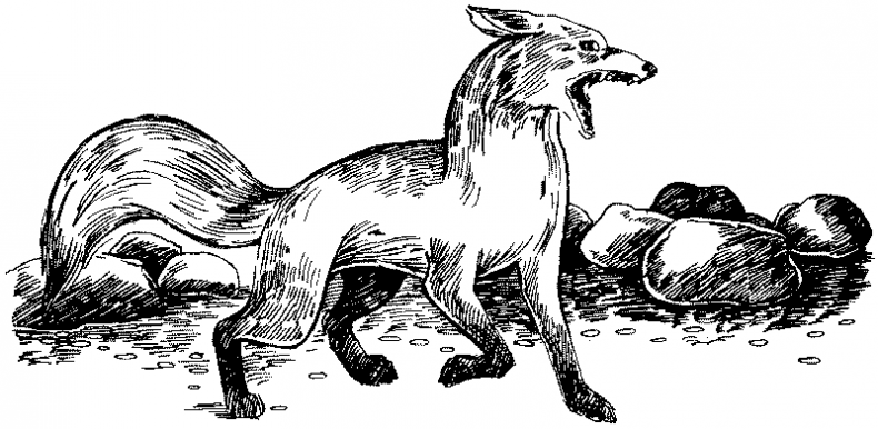 Иллюстрация к книге — Долгая ночь [i_029.jpg]