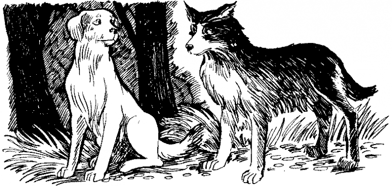 Иллюстрация к книге — Долгая ночь [i_031.jpg]