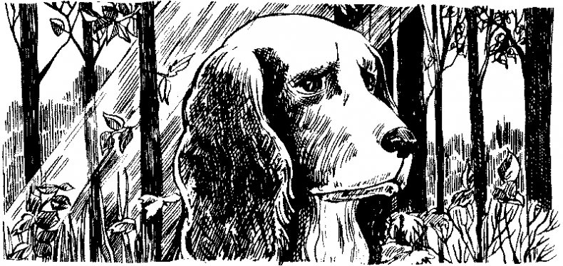 Иллюстрация к книге — Долгая ночь [i_033.jpg]