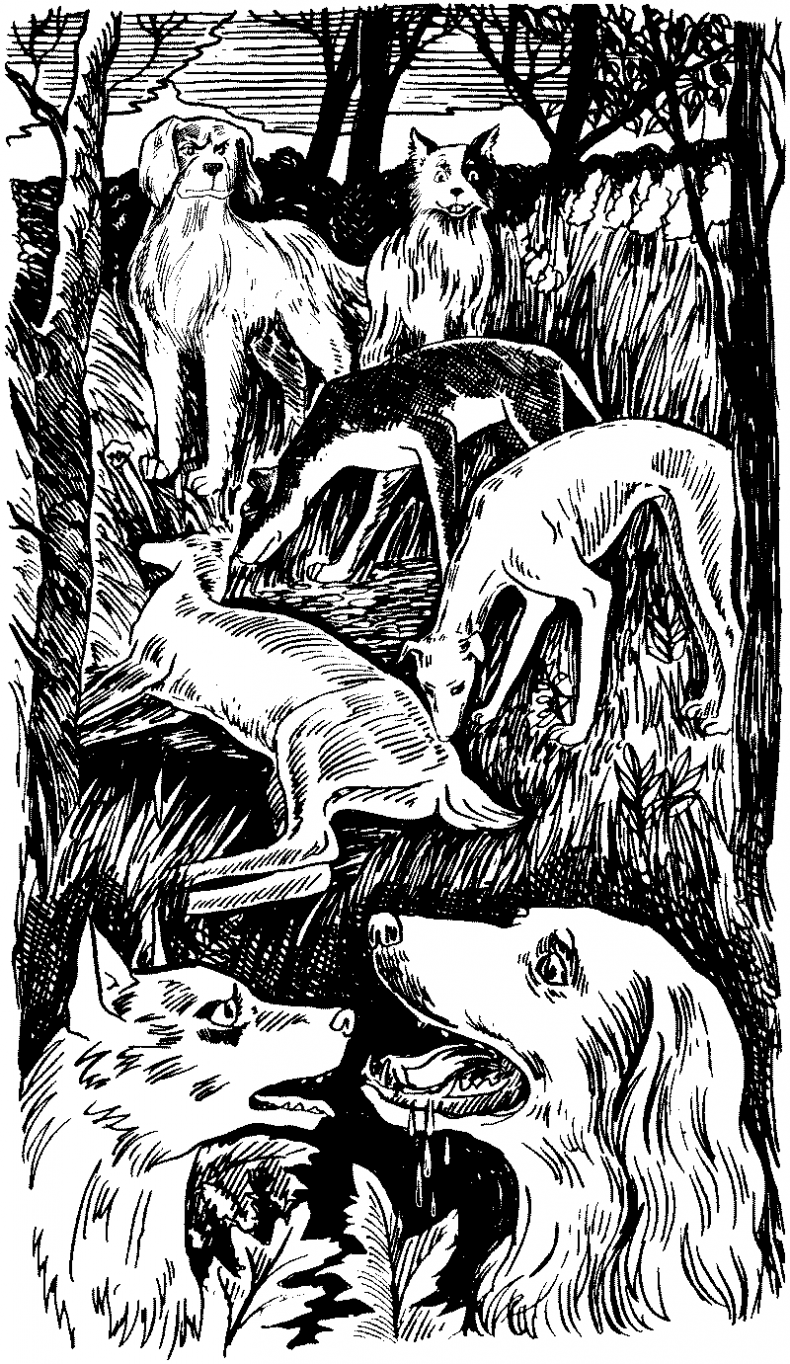 Иллюстрация к книге — Долгая ночь [i_034.jpg]