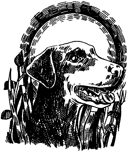 Иллюстрация к книге — Тени сгущаются [i_002.jpg]