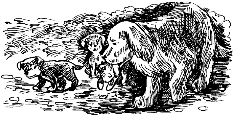 Иллюстрация к книге — Тени сгущаются [i_003.jpg]