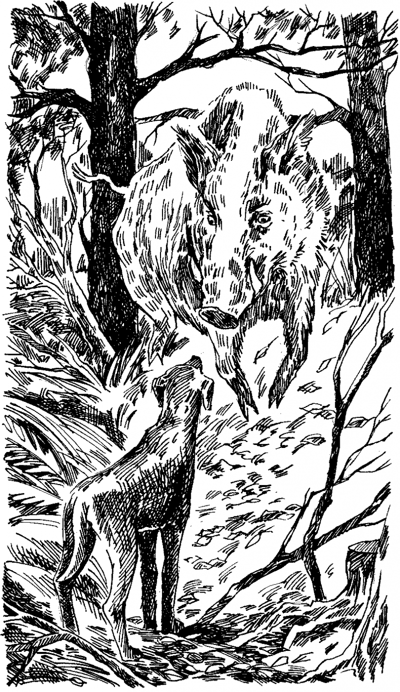 Иллюстрация к книге — Тени сгущаются [i_010.jpg]