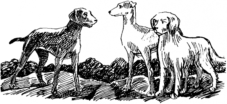 Иллюстрация к книге — Тени сгущаются [i_011.jpg]