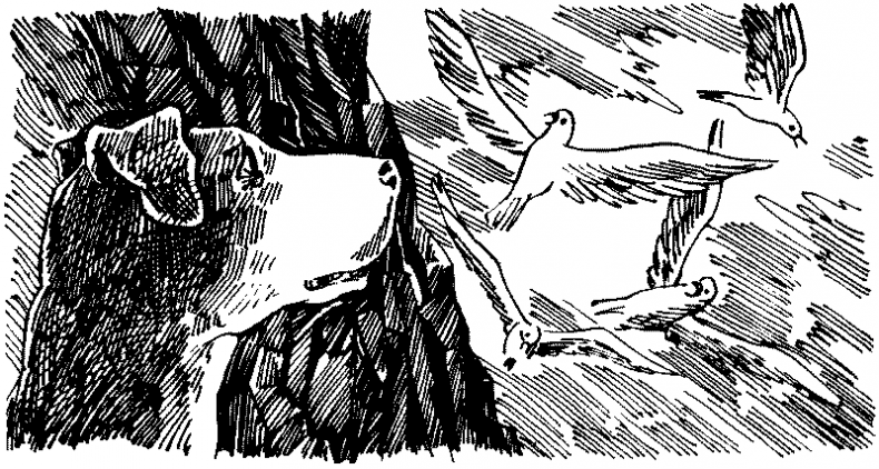 Иллюстрация к книге — Тени сгущаются [i_013.jpg]