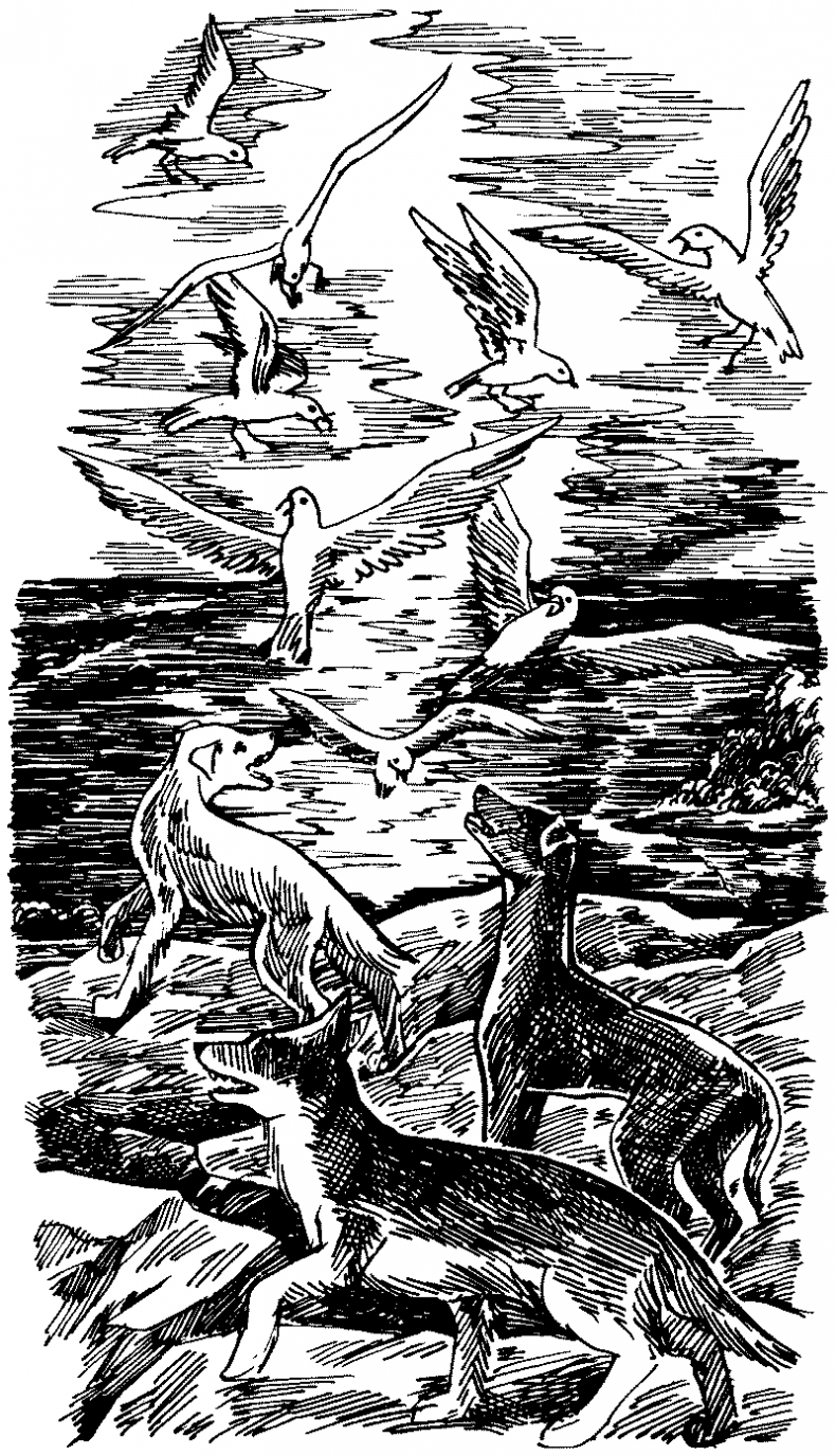 Иллюстрация к книге — Тени сгущаются [i_014.jpg]