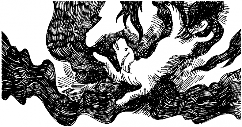 Иллюстрация к книге — Тени сгущаются [i_017.jpg]