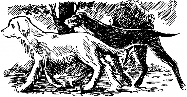 Иллюстрация к книге — Тени сгущаются [i_019.jpg]