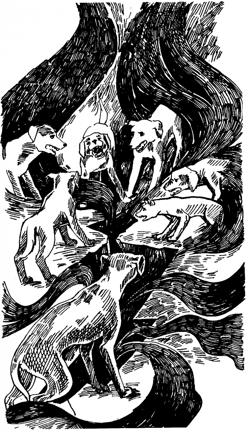 Иллюстрация к книге — Тени сгущаются [i_026.jpg]