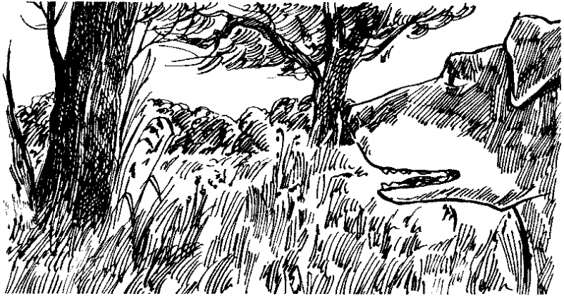 Иллюстрация к книге — Тени сгущаются [i_027.jpg]