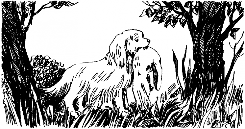 Иллюстрация к книге — Тени сгущаются [i_028.jpg]