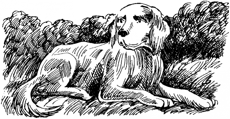 Иллюстрация к книге — Тени сгущаются [i_029.jpg]