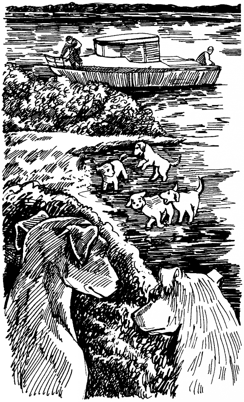 Иллюстрация к книге — Тени сгущаются [i_031.jpg]