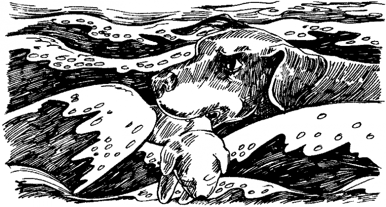 Иллюстрация к книге — Тени сгущаются [i_032.jpg]