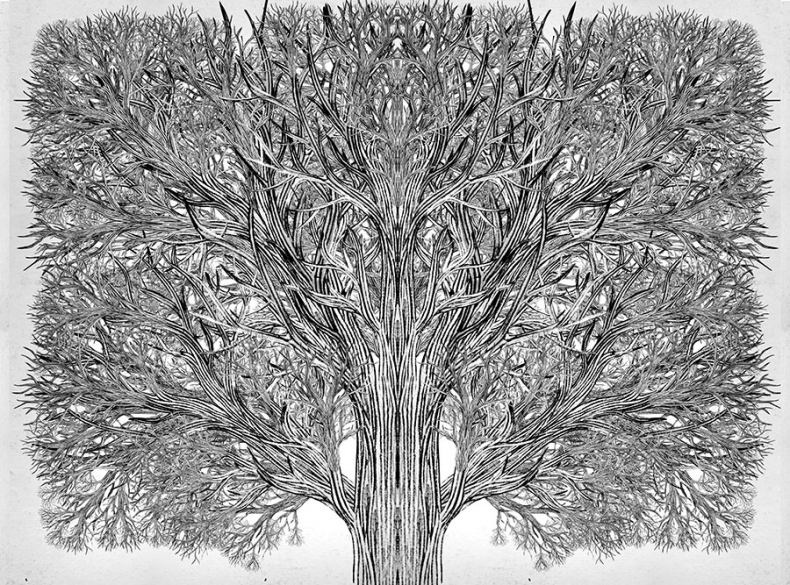 Иллюстрация к книге — Единственный истинный король [i_002.jpg]