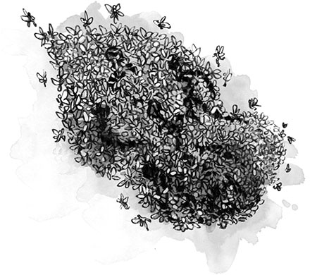 Иллюстрация к книге — Единственный истинный король [i_015.jpg]