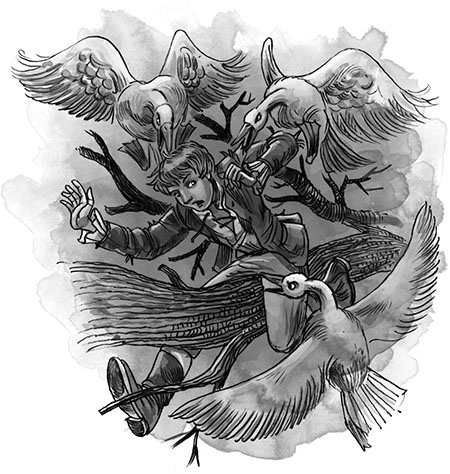 Иллюстрация к книге — Единственный истинный король [i_051.jpg]