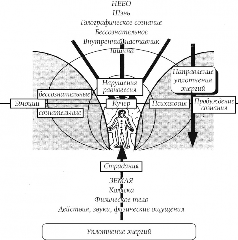 Иллюстрация к книге — О чем говорит боль [i_005.jpg]