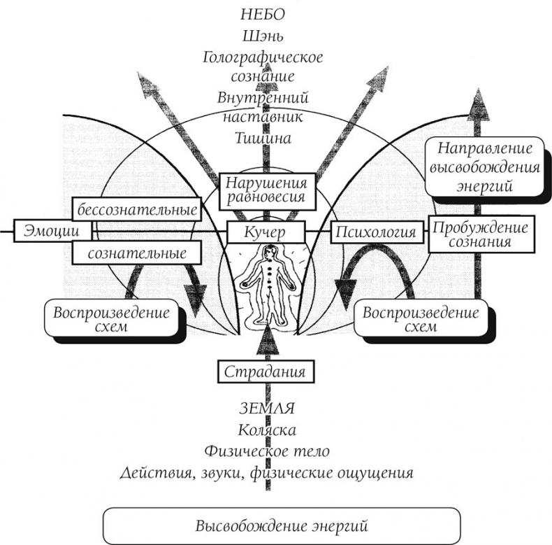 Иллюстрация к книге — О чем говорит боль [i_008.jpg]