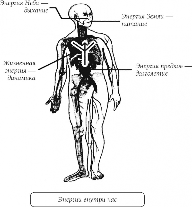 Иллюстрация к книге — О чем говорит боль [i_019.jpg]