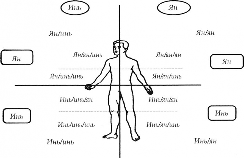 Иллюстрация к книге — О чем говорит боль [i_025.jpg]