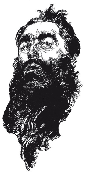 Иллюстрация к книге — Трущобы Петербурга [i_012.jpg]