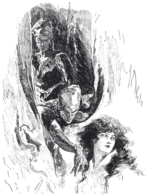 Иллюстрация к книге — Трущобы Петербурга [i_018.jpg]