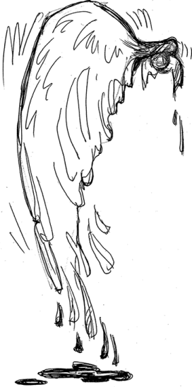 Иллюстрация к книге — Взять Чумазого! [i_013.jpg]