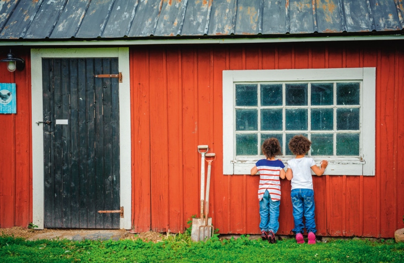 Иллюстрация к книге — Lagom. Секрет шведского благополучия [i_002.jpg]