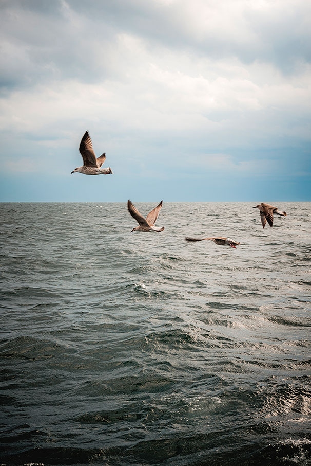 Иллюстрация к книге — Lagom. Секрет шведского благополучия [i_016.jpg]