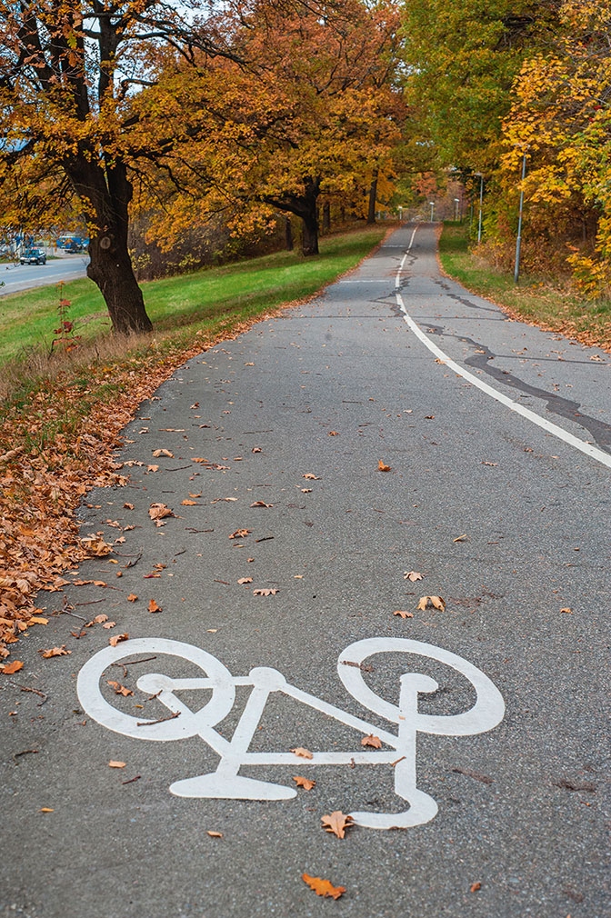 Иллюстрация к книге — Lagom. Секрет шведского благополучия [i_028.jpg]