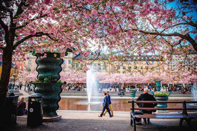 Иллюстрация к книге — Lagom. Секрет шведского благополучия [i_050.jpg]