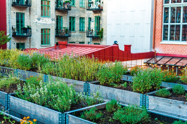 Иллюстрация к книге — Lagom. Секрет шведского благополучия [i_058.jpg]