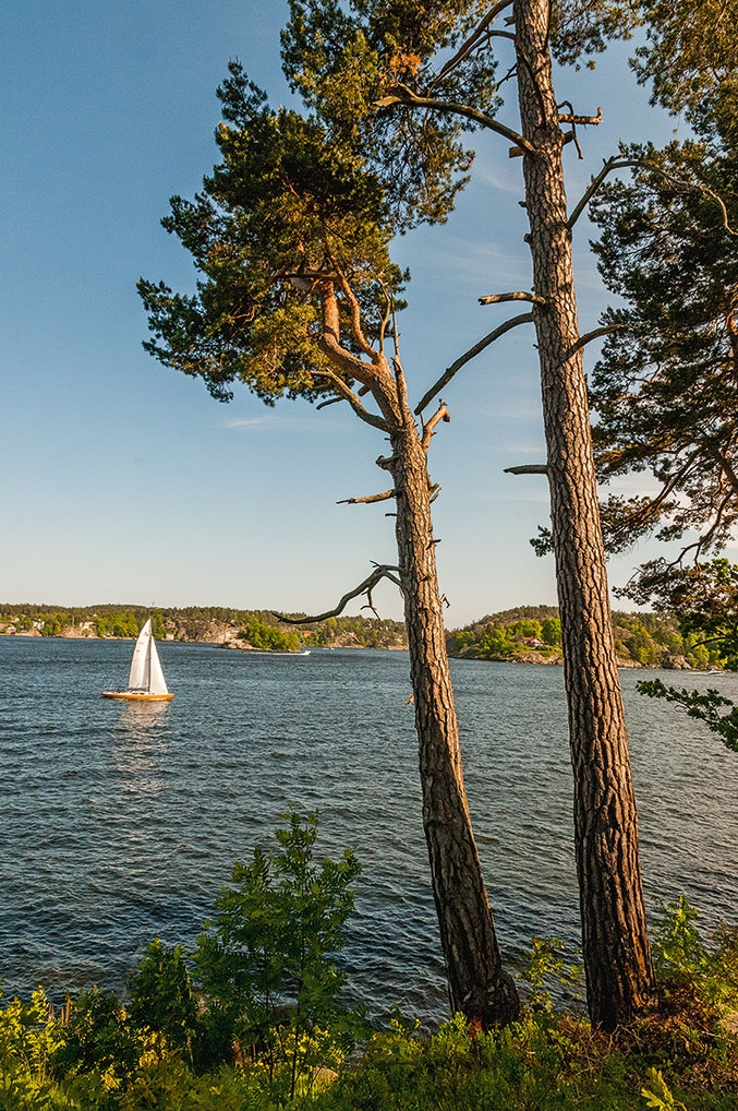 Иллюстрация к книге — Lagom. Секрет шведского благополучия [i_063.jpg]