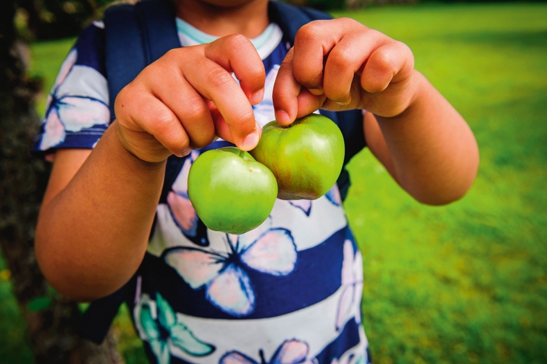 Иллюстрация к книге — Lagom. Секрет шведского благополучия [i_065.jpg]