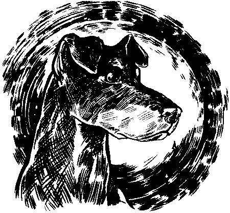 Иллюстрация к книге — Красная луна [i_002.jpg]