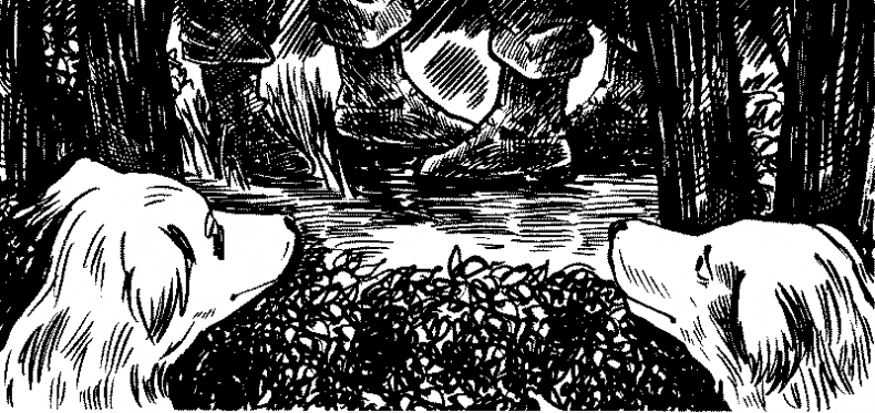 Иллюстрация к книге — Красная луна [i_006.jpg]