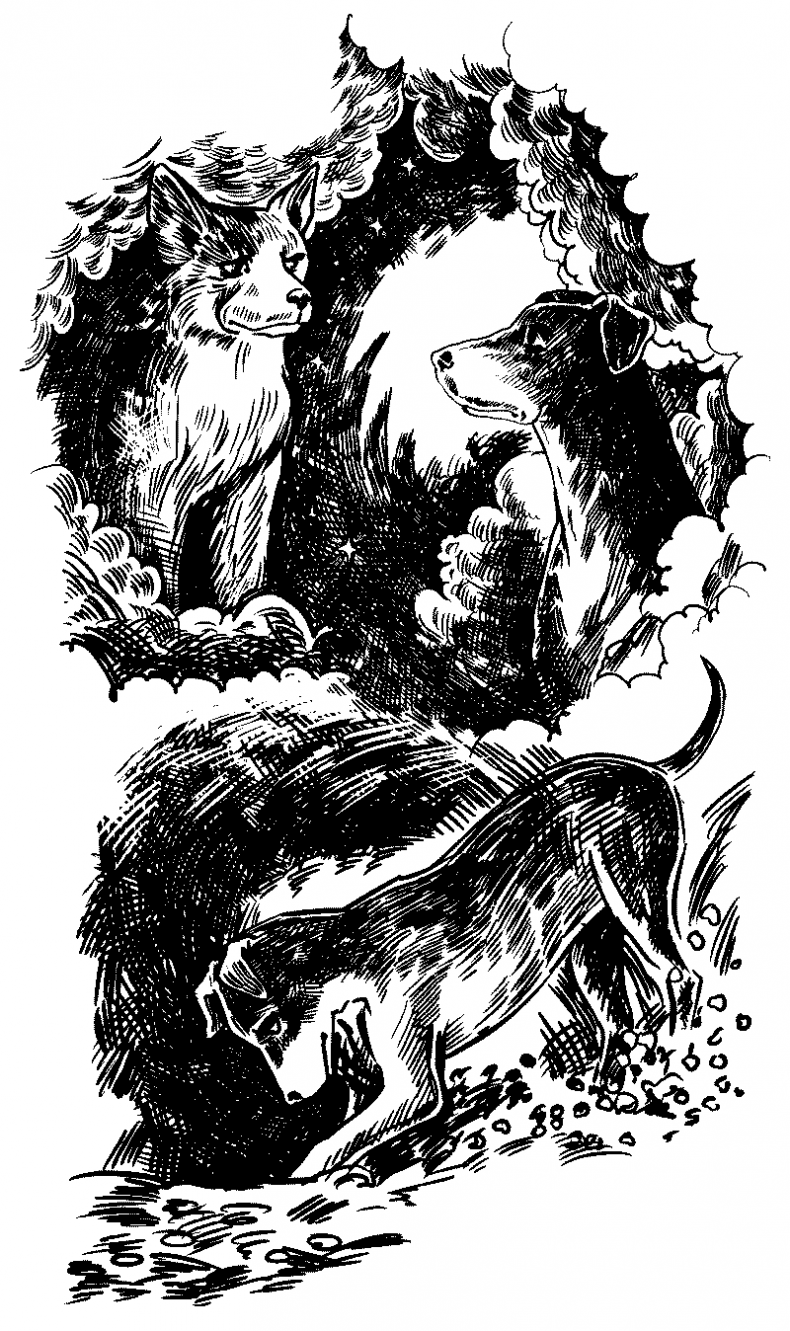 Иллюстрация к книге — Красная луна [i_007.jpg]