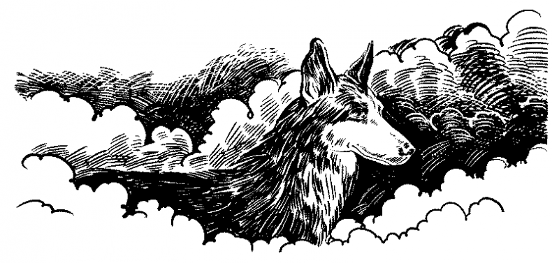 Иллюстрация к книге — Красная луна [i_012.jpg]