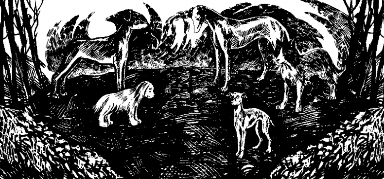 Иллюстрация к книге — Красная луна [i_013.jpg]