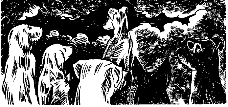 Иллюстрация к книге — Красная луна [i_014.jpg]