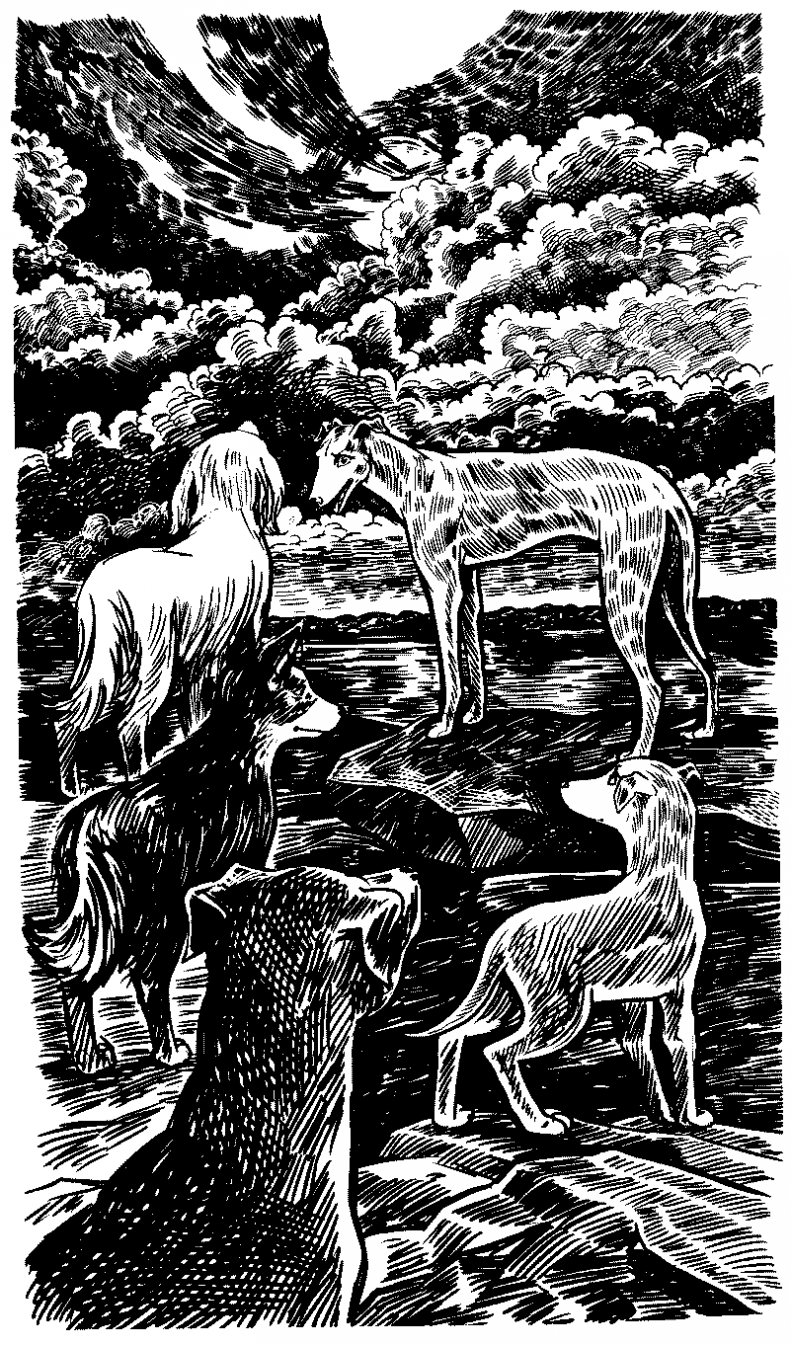 Иллюстрация к книге — Красная луна [i_015.jpg]