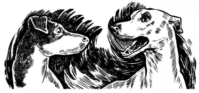 Иллюстрация к книге — Красная луна [i_016.jpg]